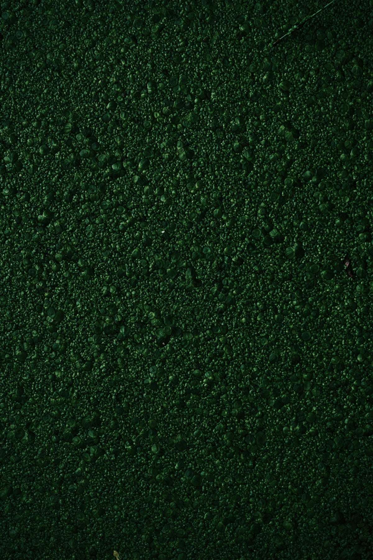 Upptäck de Mångsidiga Fördelarna med Xpress Color 72467 Camouflage Green