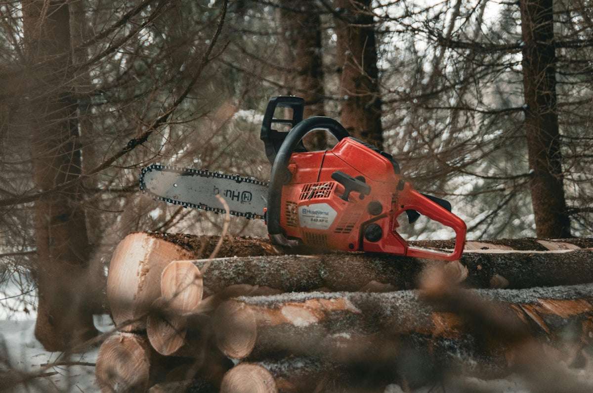 Utforska Allt Om Chainsaw Man S.H.Figuarts Figur och Vad Som Gör Den Oemotståndlig För Samlare