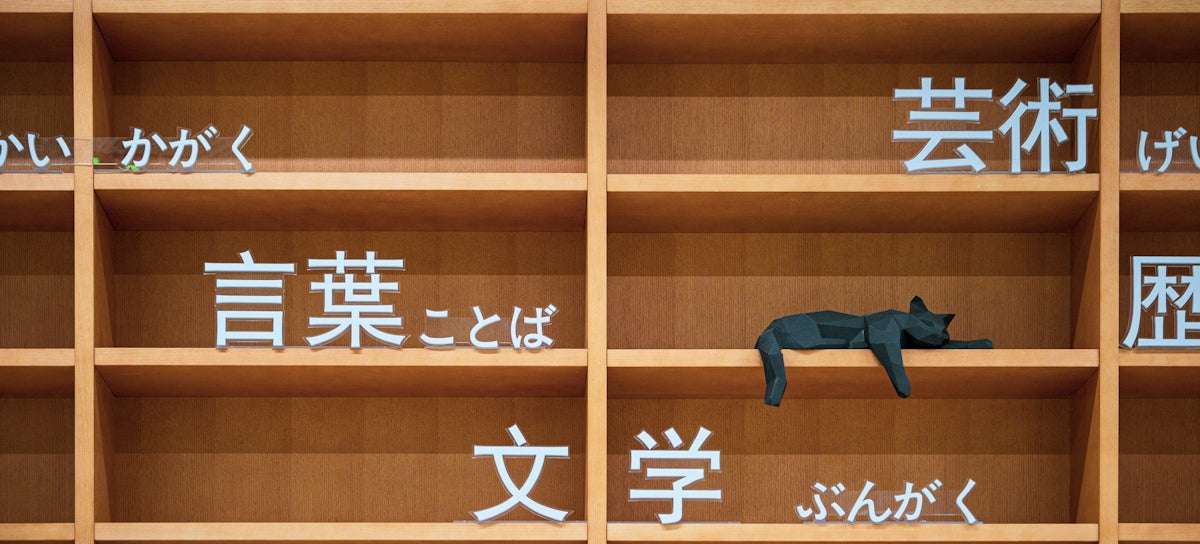 Guide till masterklass: Anordna den perfekta utställningen av actionfigurer