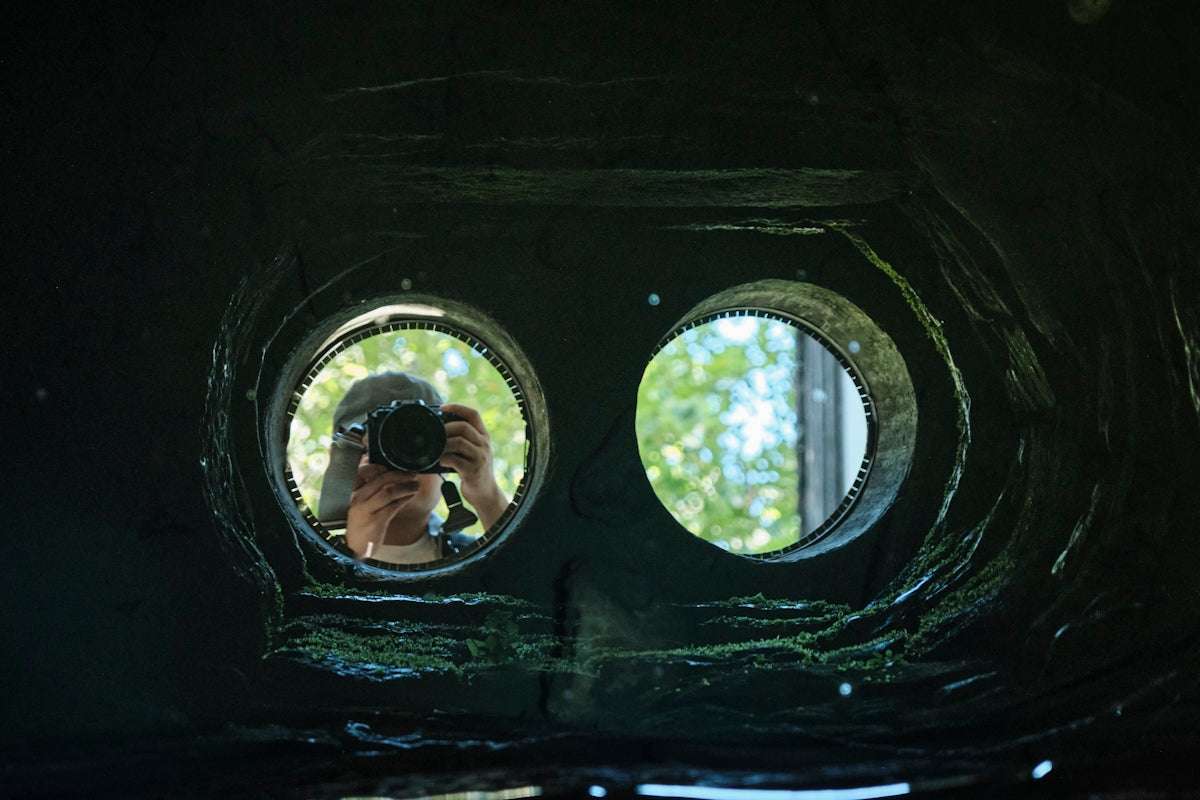 Explorera Hemligheterna Bakom Jurassic Park: En Närmare Titt på Velociraptorens Skarpa Öga