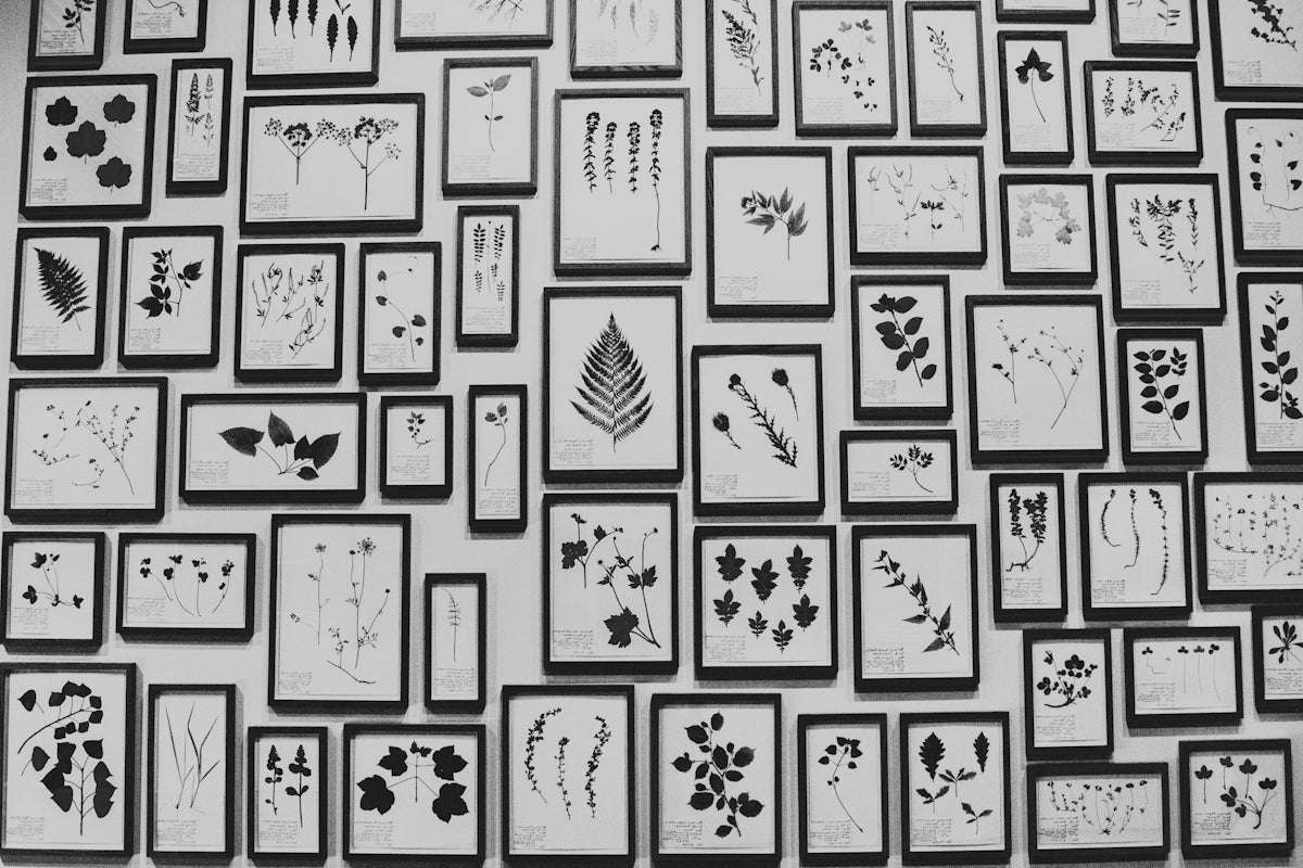 Maximera ditt Tabletop Game: En översikt över väsentliga speltillbehör