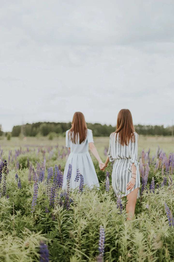 30 Minute Sisters: En ny dimension av figursamling