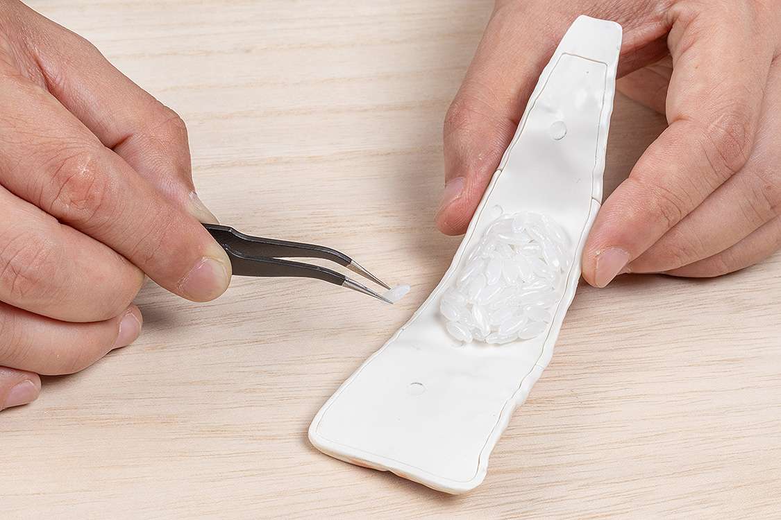 Sushi Conger Eel Plastikkit syuto seiko