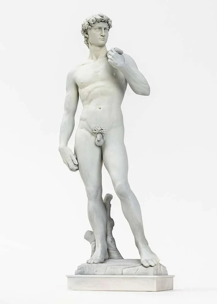 Michelangelo David Plastmodell Kit - Robotto