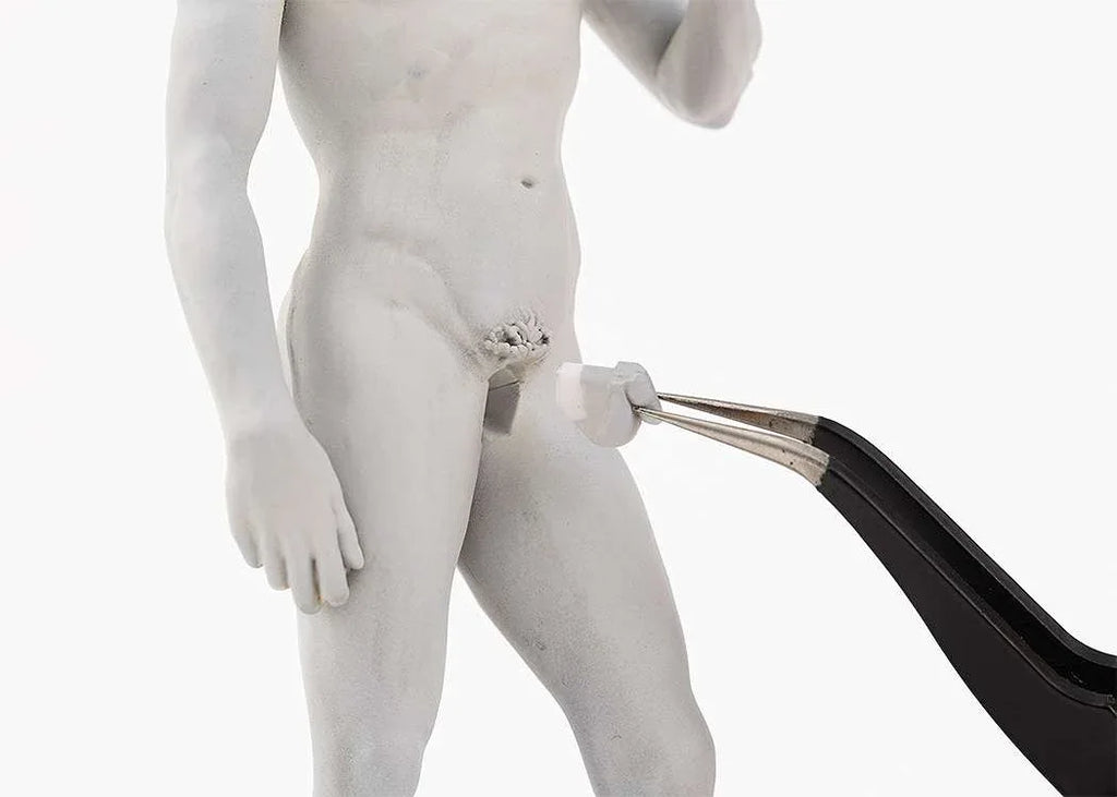 Michelangelo David Plastmodell Kit - Robotto