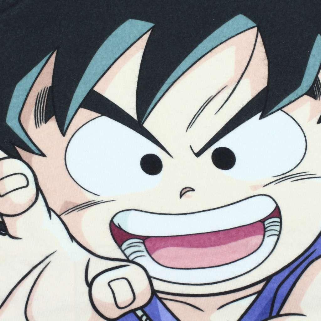 Dragon Ball Shenron och Hjältar Filt 100x150cm - Robotto