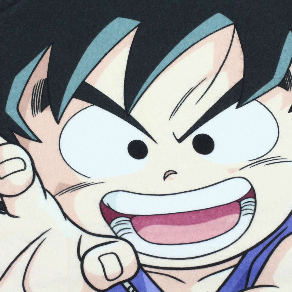 Dragon Ball Shenron och Hjältar Filt 100x150cm sd toys