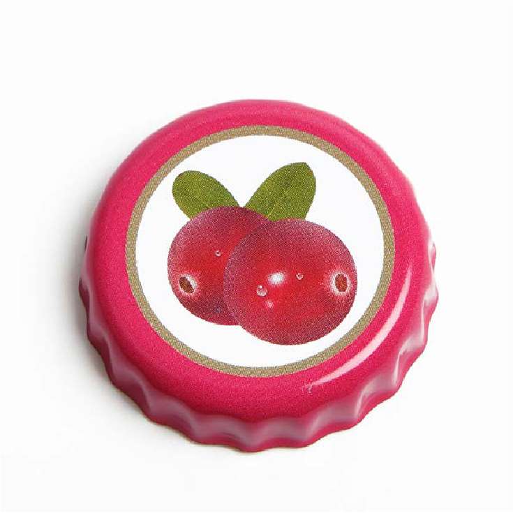 Fallout Nuka Cola Cranberry Glasflaska & Kapsyler devplus