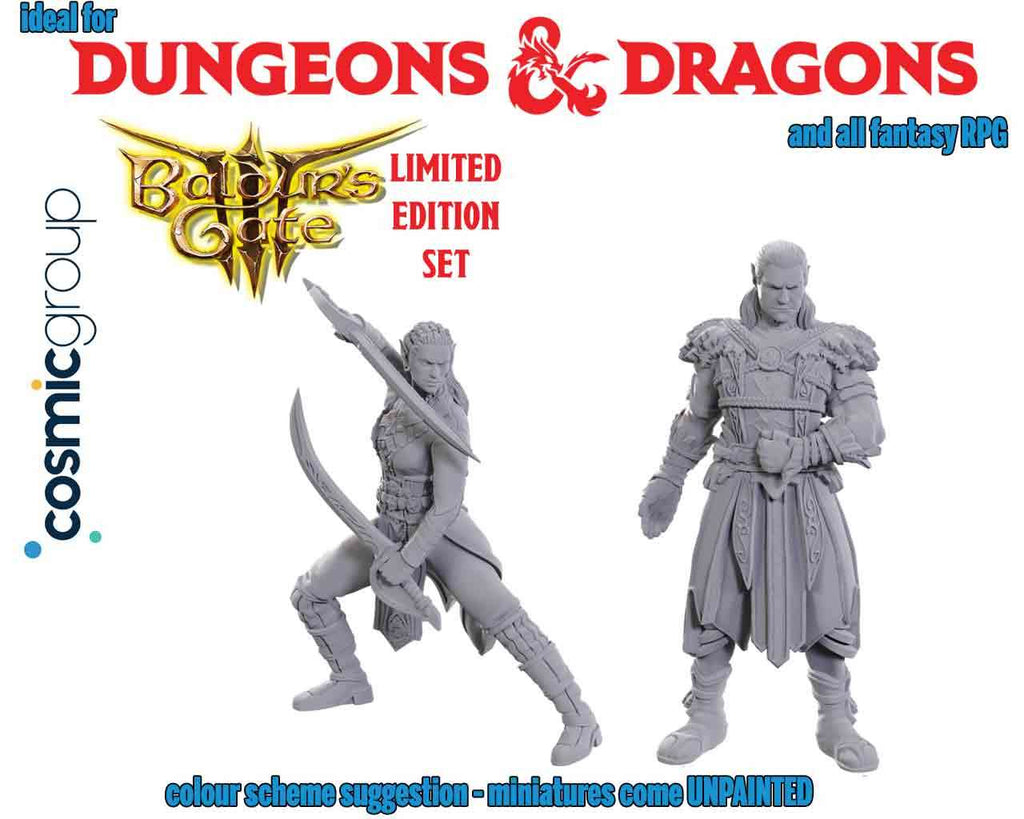 Dungeons & Dragons - Nolzur's Marvelous Miniatures - Special Edition Baldur's Gate 3 — Jaheira & Halsin wizkids