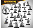 Warmachine Dusk House Kallyss Core Expansion steamforged games