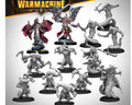 Warmachine Khymaera Shadowflame Shard Auxiliary Expansion steamforged games