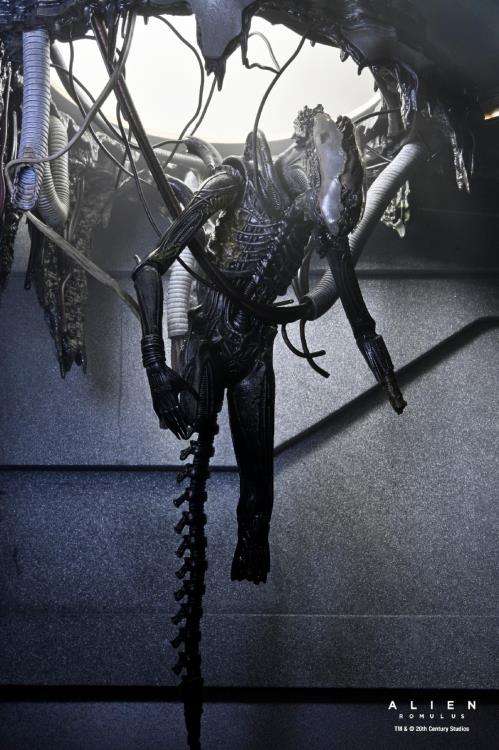 Alien Romulus Deluxe Suspended Lab Xenomorph XX121 Action Figure neca