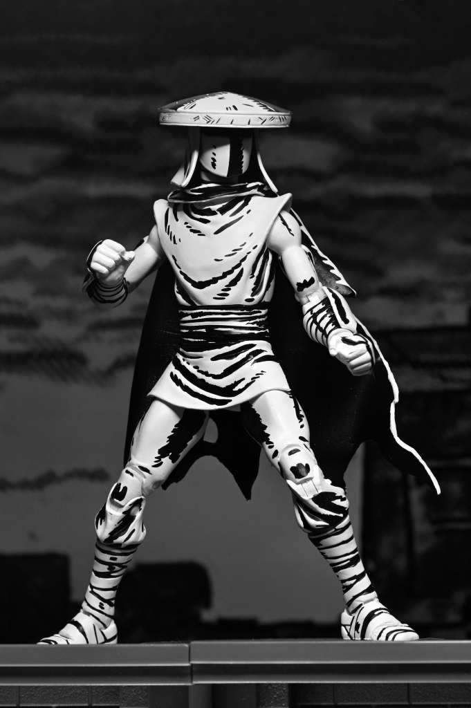 Tnmt Mirage Elite Foot Ninja Guard BW AF neca