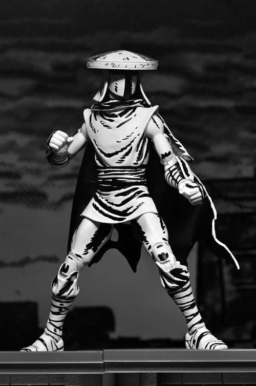 Tnmt Mirage Elite Foot Ninja Guard BW AF neca