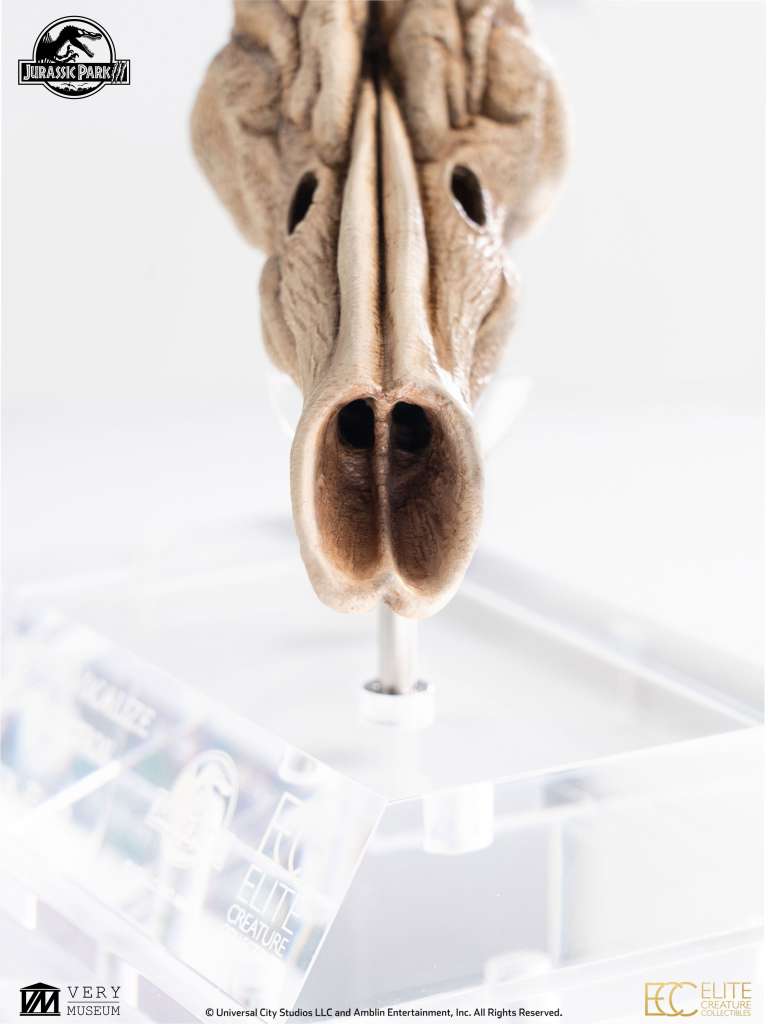 Jurassic Park 3 Velociraptor Resonating Chamber Prop Replica elite creature collectibles