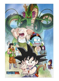 DRAGON BALL SHENRON AND HEROES 38X58CM 3D POSTER - bild 1