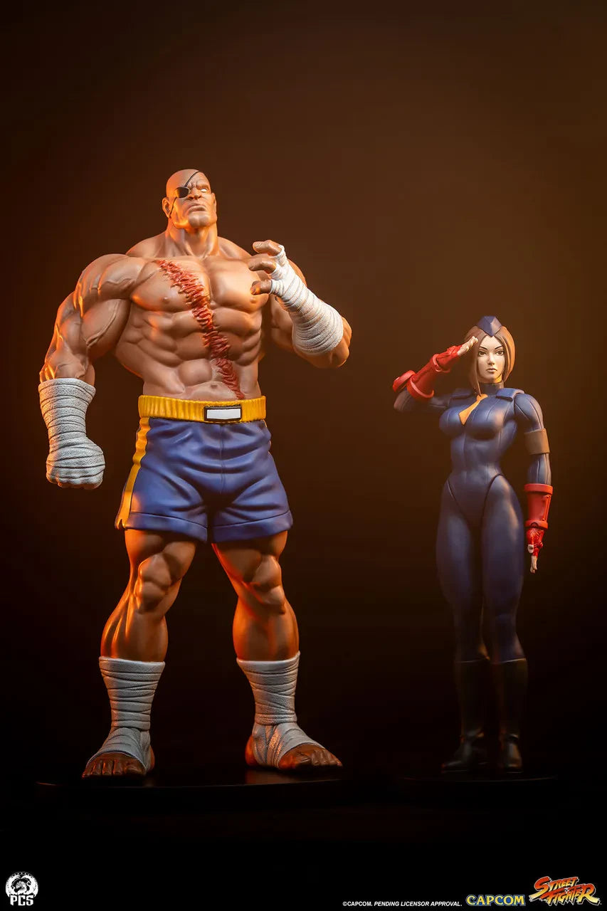 Street Fighter Street Jam Sagat & Juli 1:10-skala Figurset