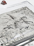 Jurassic Park 3 Velociraptor Utgrävningskarta