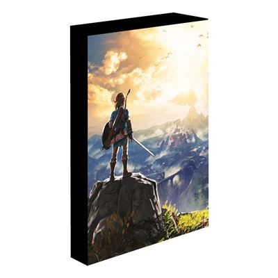 Legenden Om Zelda: Into The Wilds Ljus Canvas