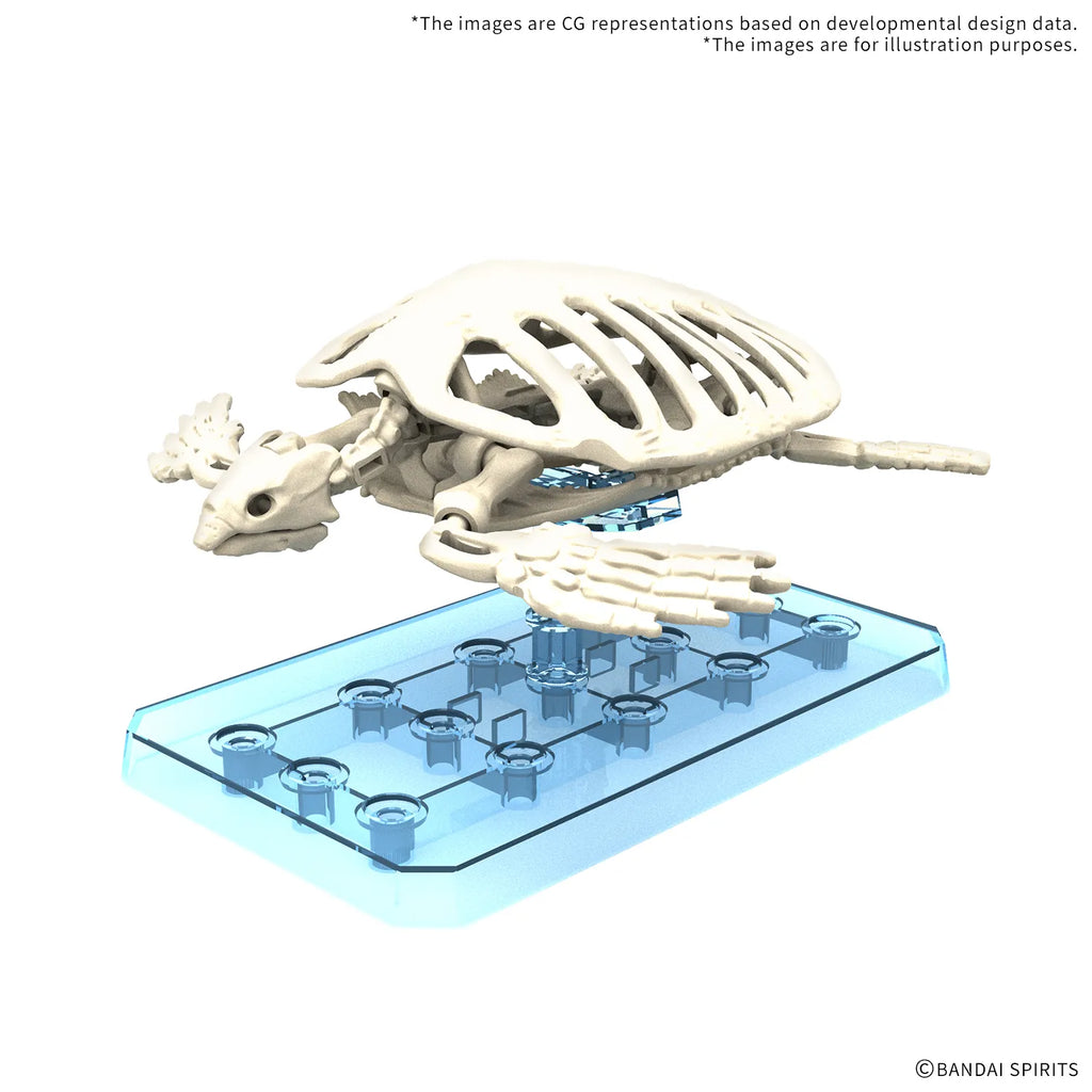 Plannosaurus Archelon – dinosaur figure model kit