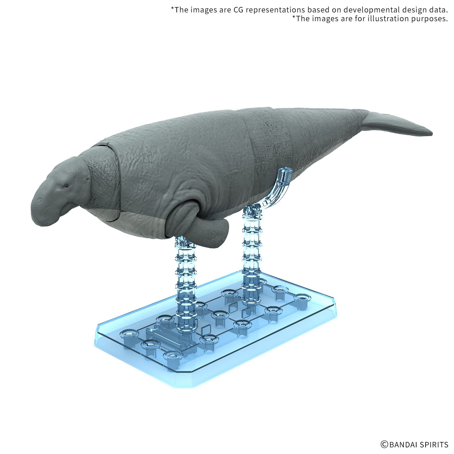 Plannosaurus Hydrodamalis Gigas – pedagogisk dinosaurie- och urtidsdjurmodell