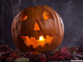 Halloween Jack-o-lantern i verklig storlek - Samlarobjekt