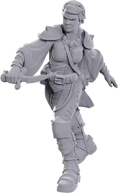 D&d Nolzur's Marvelous Miniatures – Svärdskämpare
