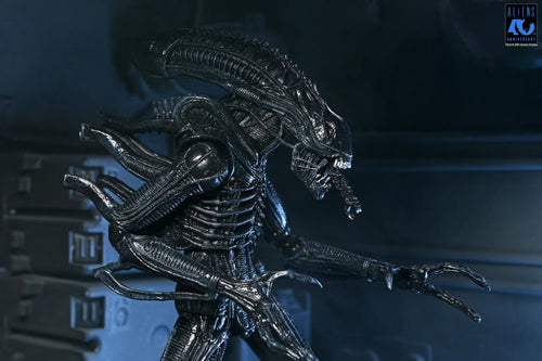 Aliens 40-årsjubileum Krigare Xenomorph Svart Ultimat Actionfigur