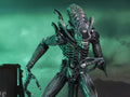 Aliens Alien Warrior Blue 1986 Ultimate Collector's Figure