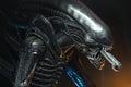 Alien Big Chap 1/4 from Rerun – Detailed Quarter-Scale Model of the Iconic Xenomorph from the 1979 Classic Film