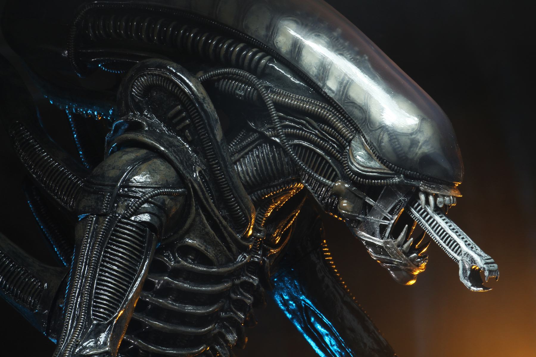 Alien Big Chap 1/4 from Rerun – Detailed Quarter-Scale Model of the Iconic Xenomorph from the 1979 Classic Film