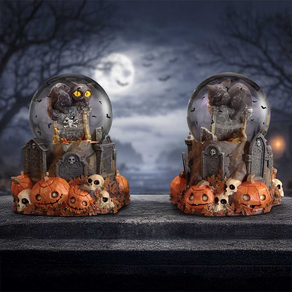 Pumpaområde Halloween Katt Snöglob