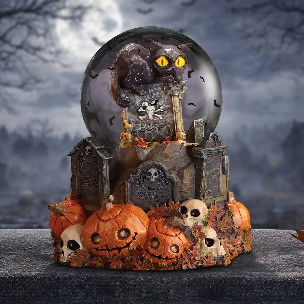 Pumpaområde Halloween Katt Snöglob