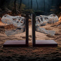 Bookends with Tyrannosaurus Rex Skulls
