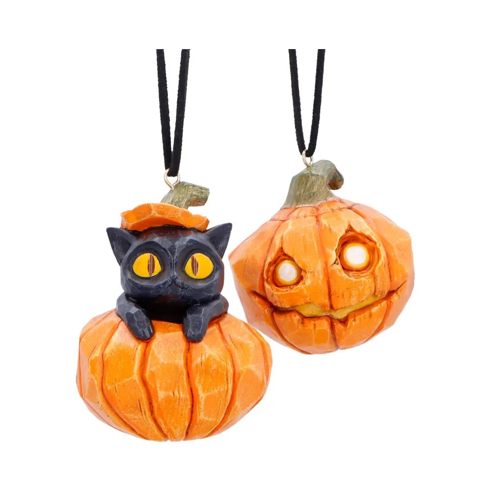 Pumpa & Odlingsplätt Hängande Dekorationer Set (2)