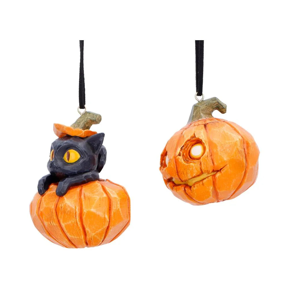 Pumpa & Odlingsplätt Hängande Dekorationer Set (2)