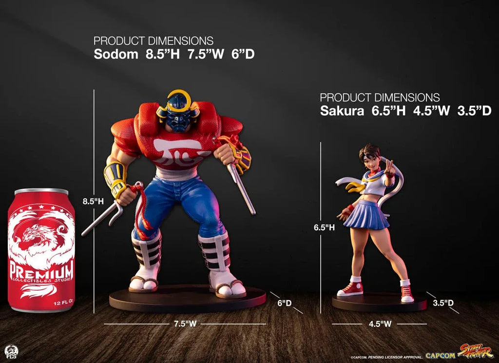 Street Fighter Street Jam: Sakura och Sodom Figurset i Skala 1:10
