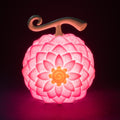 One Piece Netflix Blomma Blomfrukt Lampa