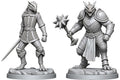D&D NOLZUR MM DRAGONBORN PALADIN & DRAGONBORN SQUIRE