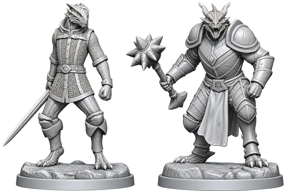D&D NOLZUR MM DRAGONBORN PALADIN & DRAGONBORN SQUIRE