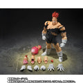 Dragon Ball Z Recoome Mardrömmen S.H.Figuarts samlarfigur