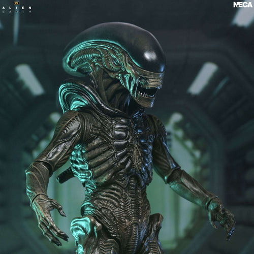 ALIEN EARTH XENOMORPH ULTIMATE ACTION FIGURE