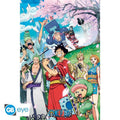 ONE PIECE WANO MAXI POSTER