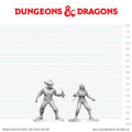 D&D NOLZUR MARVELOUS MINIATURES BANDIT & PIRATE