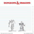 D&D NOLZUR MARVELOUS MINIATURES GHAST GRAVECALLER & WRAITH