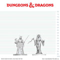 D&D NOLZUR MARVELOUS MINIATURES CULTIST FANATIC & HIEROPHANT