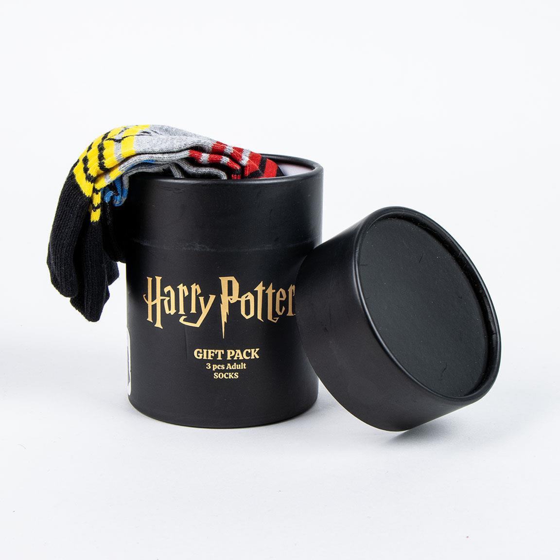 HARRY POTTER SOCKS GIFT SET (3x)