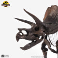JURASSIC PARK TRICERATOPS FOSSIL SKELETON 1-24 SCALE BRONZE