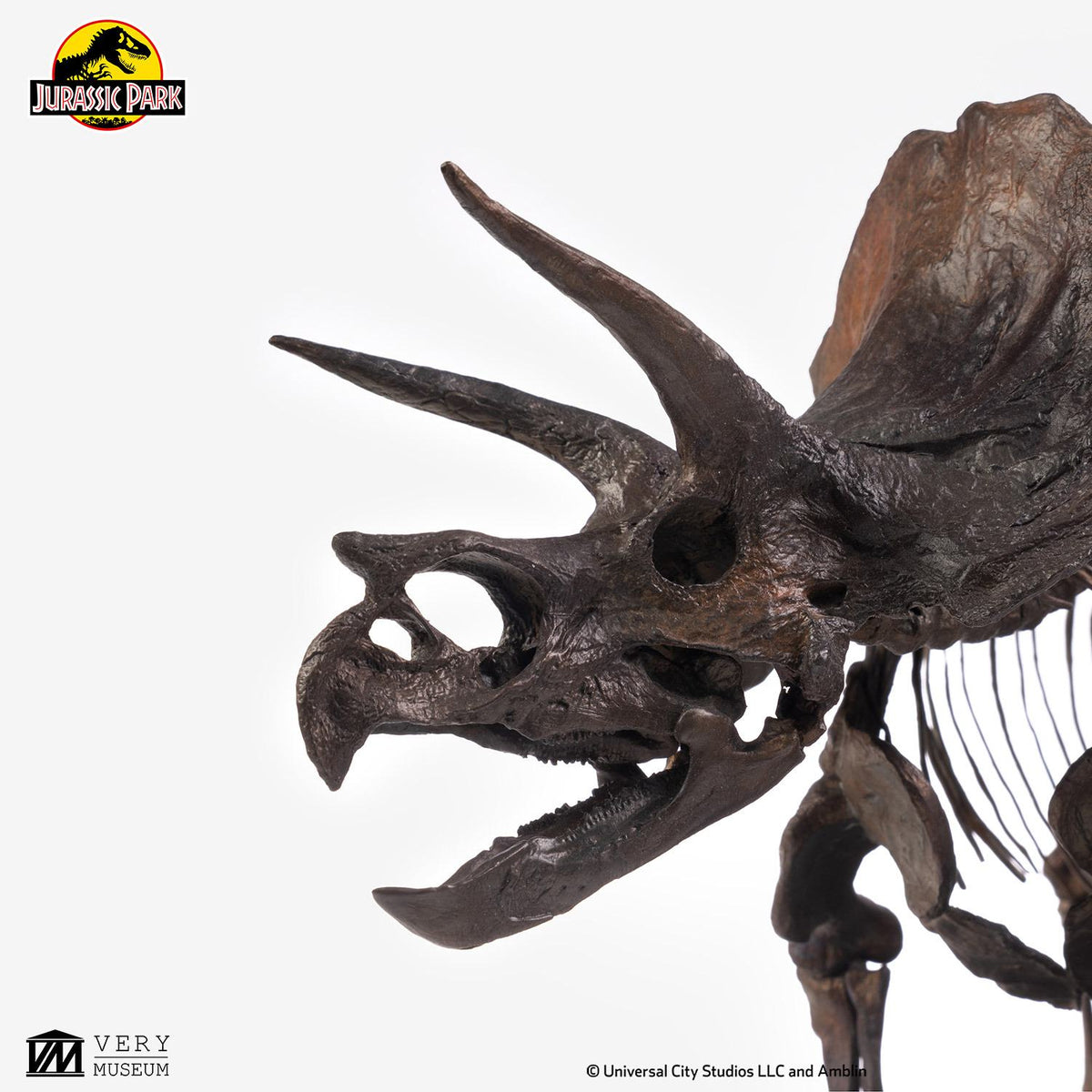 JURASSIC PARK TRICERATOPS FOSSIL SKELETON 1-24 SCALE BRONZE