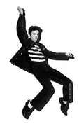 Elvis Jailhouse Magnet - En unik souvenir för fans - Robotto